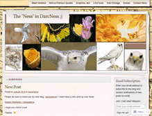Tablet Screenshot of darcsfalcon.wordpress.com