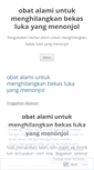 Mobile Screenshot of obatalamiuntukmenghilangkanbekaslukayangmenonjol2.wordpress.com