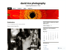 Tablet Screenshot of davidricephoto.wordpress.com