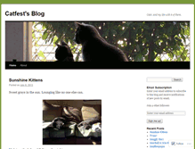 Tablet Screenshot of catfest.wordpress.com