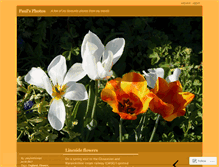 Tablet Screenshot of paultphotos.wordpress.com