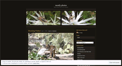 Desktop Screenshot of mostlyphotos.wordpress.com