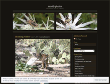 Tablet Screenshot of mostlyphotos.wordpress.com