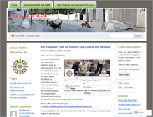 Tablet Screenshot of feraldog.wordpress.com
