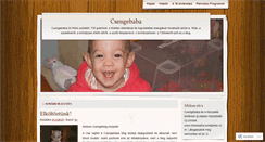 Desktop Screenshot of csengebaba.wordpress.com