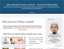 Tablet Screenshot of obatjerawat229.wordpress.com