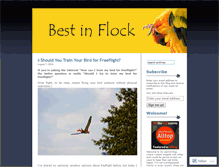 Tablet Screenshot of bestinflock.wordpress.com