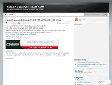 Tablet Screenshot of burnfatgetslim.wordpress.com