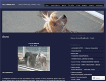 Tablet Screenshot of cielosnuevos.wordpress.com
