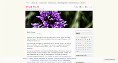 Desktop Screenshot of full2faltu.wordpress.com