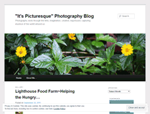 Tablet Screenshot of itspicturesquephotography.wordpress.com