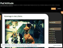 Tablet Screenshot of podattitude.wordpress.com