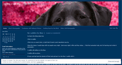 Desktop Screenshot of feelingalittleblue.wordpress.com