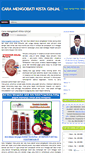 Mobile Screenshot of caramengobatikistaginjal1.wordpress.com