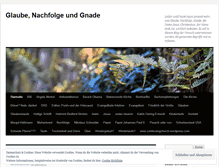 Tablet Screenshot of glaubereal.wordpress.com