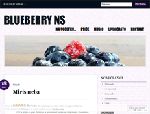 Tablet Screenshot of blueberryns.wordpress.com