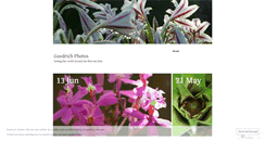 Desktop Screenshot of goodrichphotos.wordpress.com