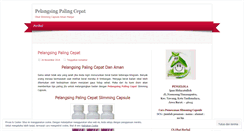 Desktop Screenshot of pelangsingpalingcepat.wordpress.com