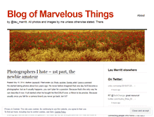 Tablet Screenshot of laumerritt.wordpress.com