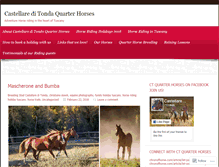 Tablet Screenshot of ctquarterhorses.wordpress.com