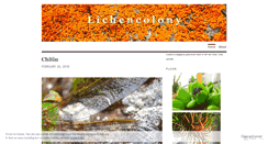 Desktop Screenshot of lichencolony.wordpress.com