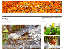 Tablet Screenshot of lichencolony.wordpress.com