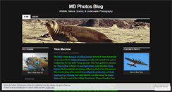 Desktop Screenshot of madowns.wordpress.com