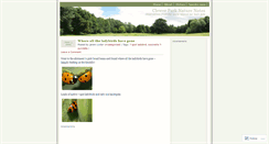 Desktop Screenshot of clewerparknature.wordpress.com