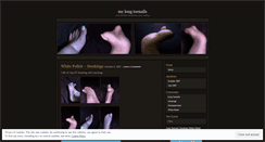 Desktop Screenshot of longtoenails.wordpress.com