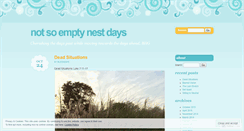 Desktop Screenshot of notsoemptynestdays.wordpress.com