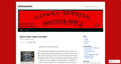 Desktop Screenshot of bishsandra.wordpress.com