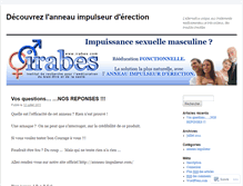 Tablet Screenshot of anneauimpulseur.wordpress.com