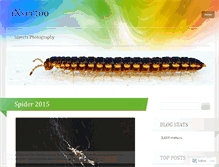 Tablet Screenshot of insectoo.wordpress.com