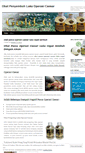 Mobile Screenshot of obatpenyembuhlukaoperasicaesar.wordpress.com