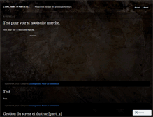 Tablet Screenshot of coachingart.wordpress.com