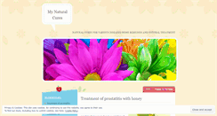 Desktop Screenshot of mynaturalcures.wordpress.com