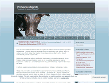 Tablet Screenshot of probaxon.wordpress.com