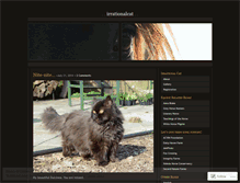 Tablet Screenshot of irrationalcat.wordpress.com