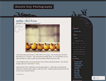 Tablet Screenshot of ameliakayphotography.wordpress.com