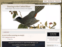 Tablet Screenshot of catbirdblues.wordpress.com