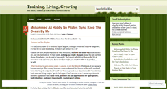Desktop Screenshot of drivefs2010.wordpress.com