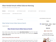 Tablet Screenshot of infeksisalurankemihherbal.wordpress.com