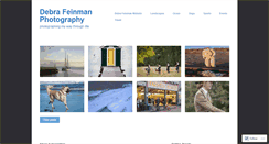 Desktop Screenshot of debrafeinman.wordpress.com
