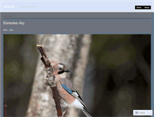 Tablet Screenshot of birdristo.wordpress.com