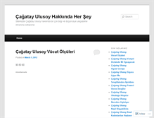 Tablet Screenshot of cagatayulusoyblog.wordpress.com