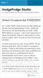Mobile Screenshot of hodgepodgestudio.wordpress.com