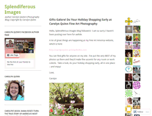 Tablet Screenshot of cquinnimages.wordpress.com