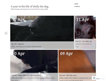 Tablet Screenshot of 365daysofmollydog.wordpress.com