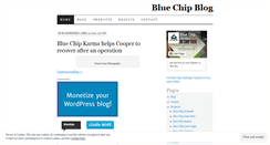 Desktop Screenshot of bluechiphorsefeed.wordpress.com