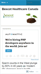 Mobile Screenshot of bescothealthcare.wordpress.com